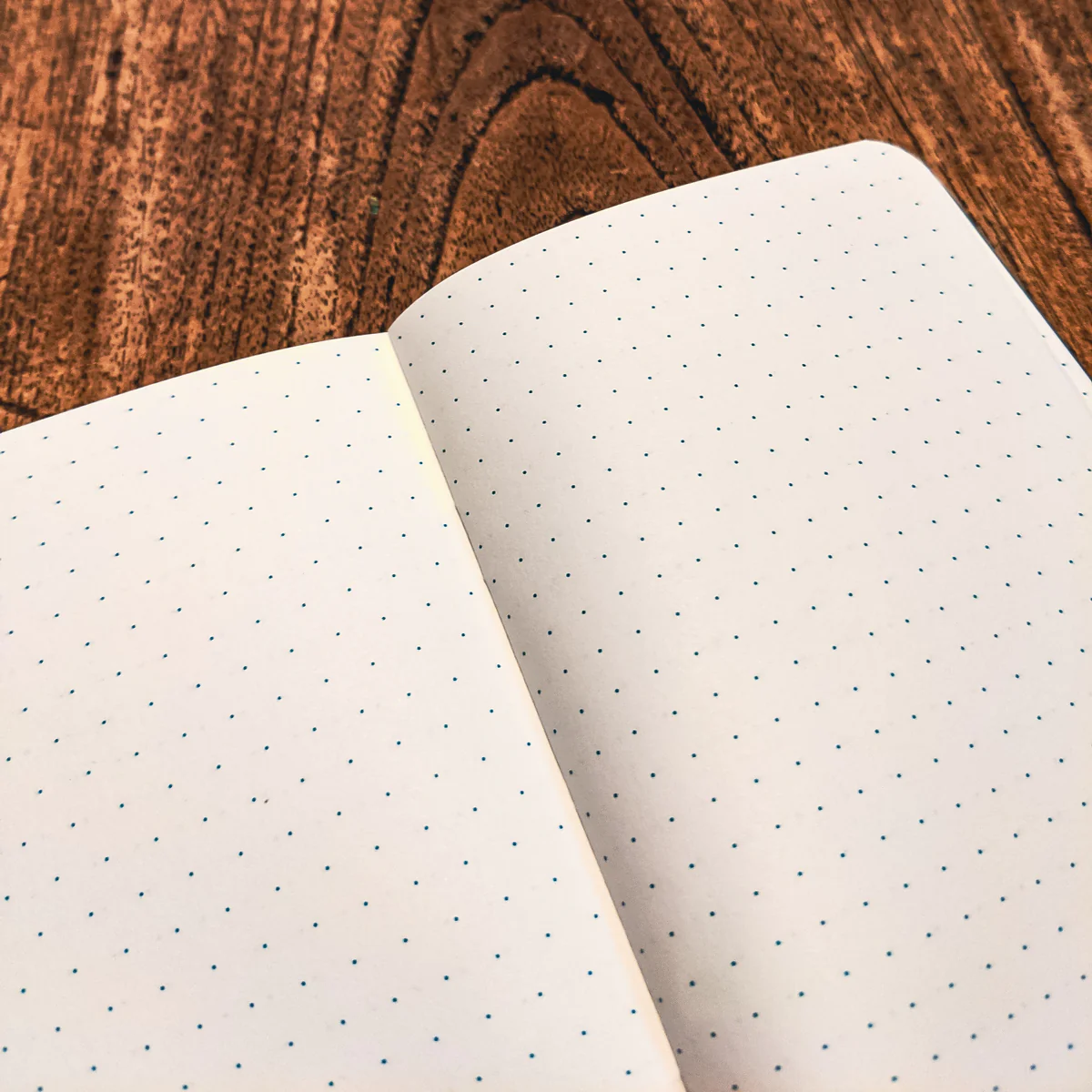 Dot grid in the Wndsn XPD Explorer’s Notebook